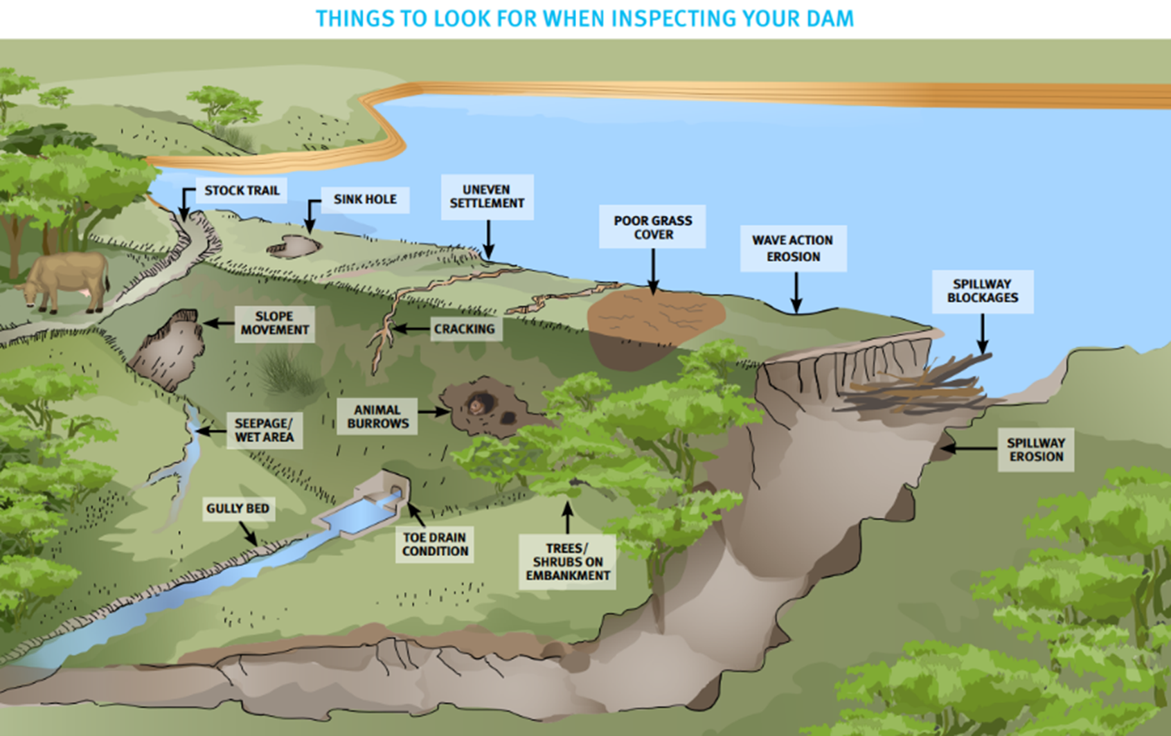 Things to look out for when inspecting your dam